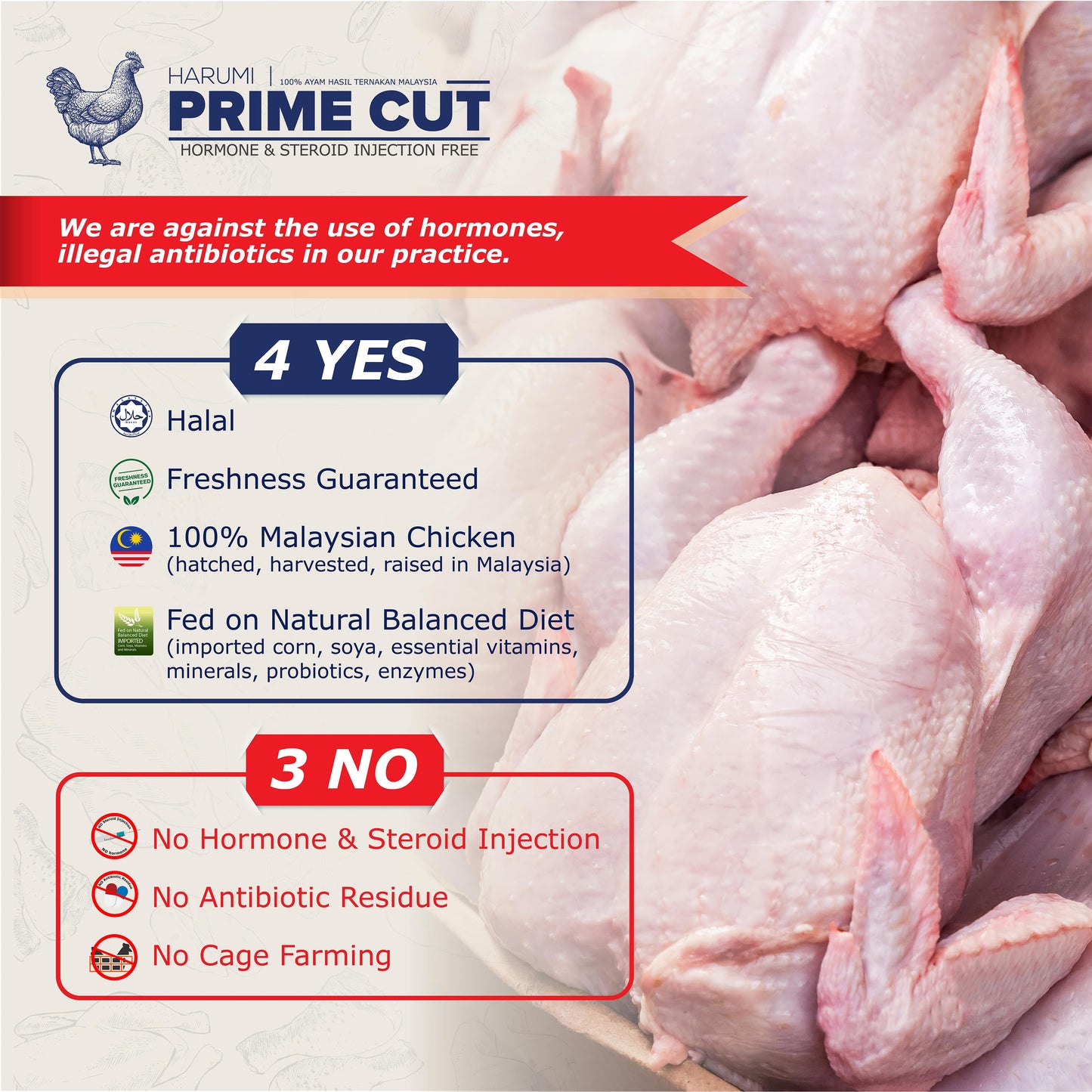 Dada Ayam/Skinless Boneless Breast Meat (500gm) Prime Cut